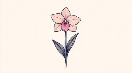 Delicate pink orchid flower illustration with elegant leaves against a soft background