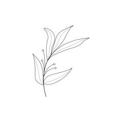 vector illustration of a flower