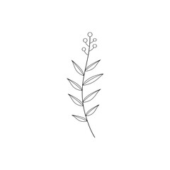 vector illustration of a flower