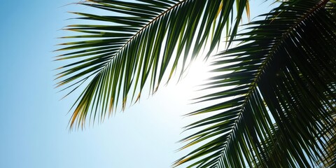 Detailed illustration of palm tree leaves against clear blue sky with subtle sunlight, natural, foliage