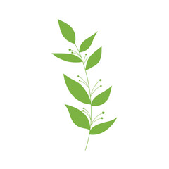 Obraz premium vector illustration of a green plant