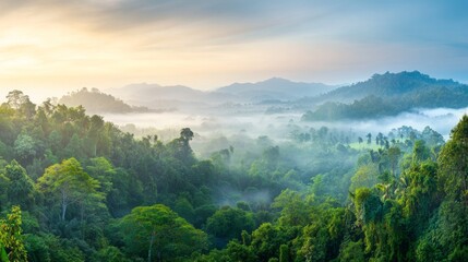 Obraz premium Misty sunrise over lush green jungle landscape. Serene and tranquil.
