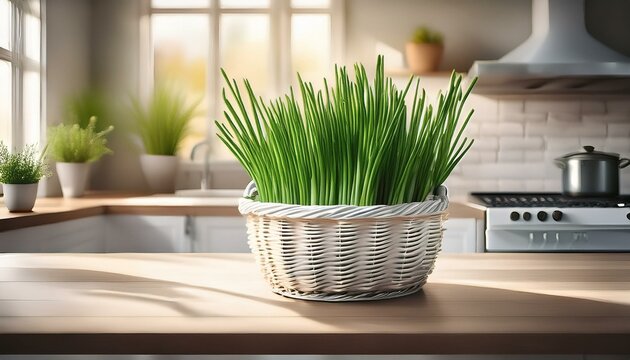 Schnittlauch