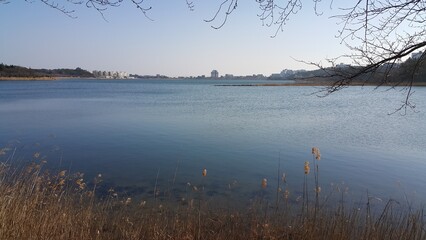 morning on the river in korea