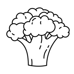 Broccoli line icon