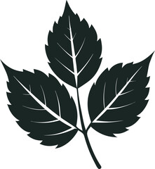 Elegant Black Leaf Silhouettes and Patterns