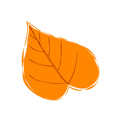 vector illustration of an autumn orange leaf