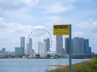 Caution Wildlife Crossing Against the Singapore City Skyline