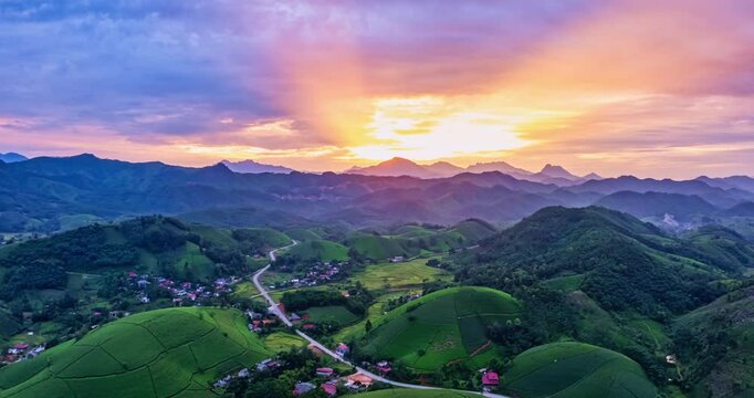 Amazing sunrise Drone aerial view Hyperlapse of green tea field in harvest season,Green agricultural fields in countryside at northern Vietnam