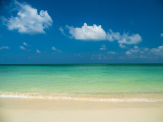 Obraz premium Generated image