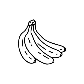 recommend clip art: bunch of bananas vector illustration