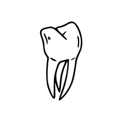 vector tooth icon