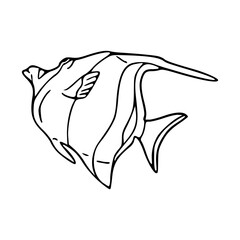 vector illustration of a fish for coloring page