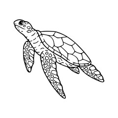 vector illustration of turtle for coloring page