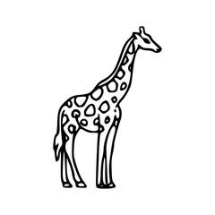 giraffe icon vector illustration