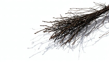 Fototapeta premium Artistic Arrangement of Thin Twigs Casting Shadows on Surface