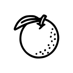 illustration of an orange icon