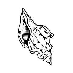 stylized conch shell outline design