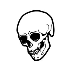 a black and white drawing of a human skull