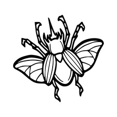 black and white beetle on white