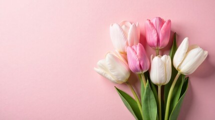 Naklejka premium Delicate Pastel Tulips Arranged on a Soft Pink Background, a Symbol of Springtime Freshness and Gentle Beauty