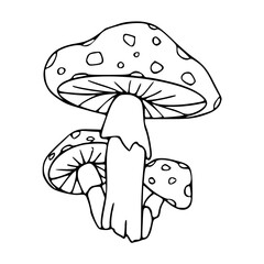 a black and white drawing of a mushrooms coloring pages