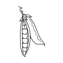 a black and white drawing of a pea pods coloring pages