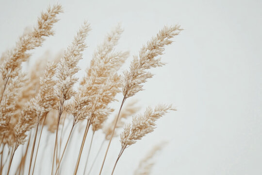 Fototapeta A vase containing dried grass, standing on a wooden table with a window behind casting warm sunlight, creating a peaceful and rustic centerpiece.