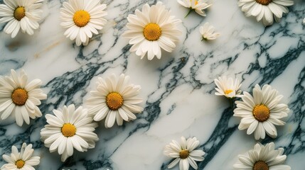 A subtle scattering of daisy petals on a marble surface, minimal and artistic copy space.