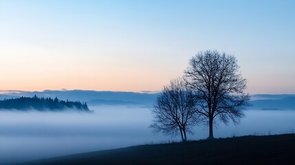 Obraz premium Peaceful sunset landscape silhouette of trees in misty wilderness faded into calming blue : Generative AI