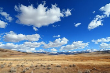 Open Prairie Landscape Under Sunny Sky