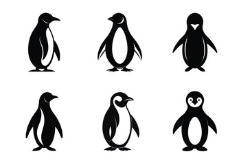 Naklejka premium penguin vector illustration, penguin silhouette Vector.