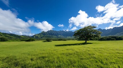 Obraz premium Majestic landscape of green mountains and a single tree under a bright blue sky : Generative AI
