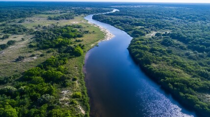 Obraz premium Aerial View of a Peaceful River Flowing Through Lush Green Vegetation and Landscape : Generative AI