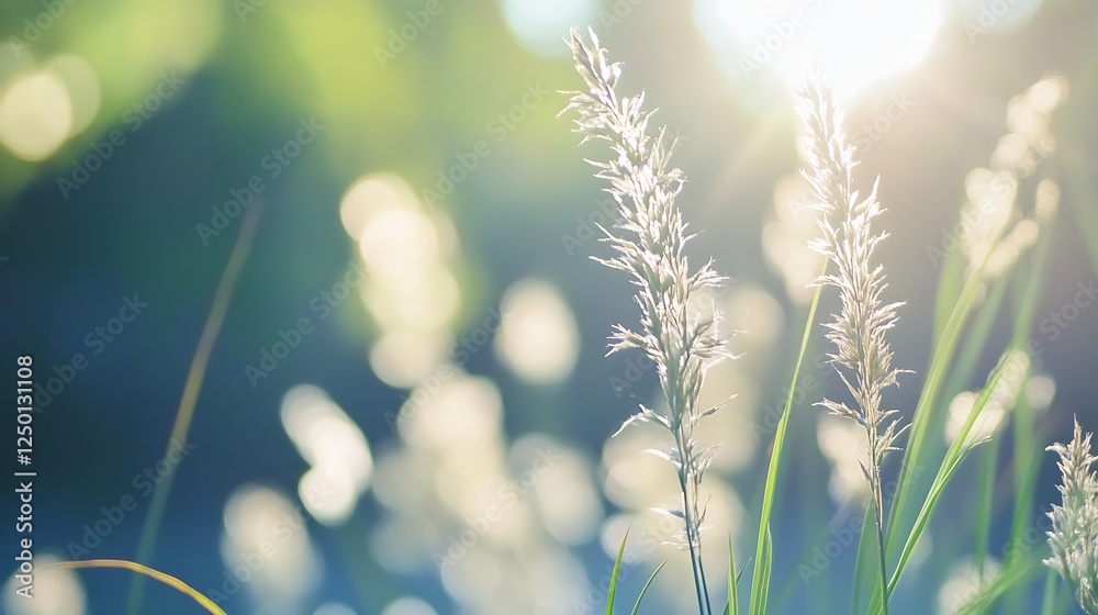Poster gentle sunlight shining through grass creating a serene and tranquil nature scene : generative ai