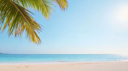Fototapeta premium Tropical beach with palm trees and tranquil blue ocean under a clear sky during daytime : Generative AI