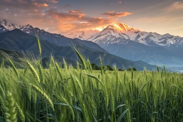 Obraz premium Double Exposure: Majestic Mountain Ranges Ascending Over Lush Wheat Fields - Surreal Nature Photography