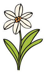 Charming illustration of a white flower