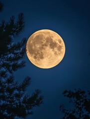 Stunning Full Moon Surrounded by Trees Creating a Magical Nighttime Atmosphere : Generative AI