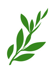Fototapeta premium Green leaves branch illustration