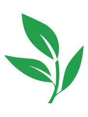 Fototapeta premium Simple Green Leaf Sprig