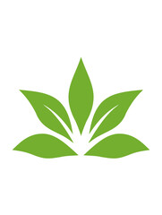 Green leaves, nature's beauty.