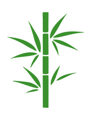 Fototapeta premium Simple Bamboo Illustration