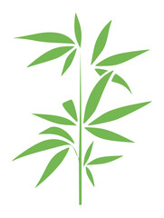 Obraz premium Simplified Bamboo Illustration