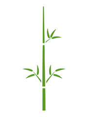 Fototapeta premium Simple Green Bamboo Illustration