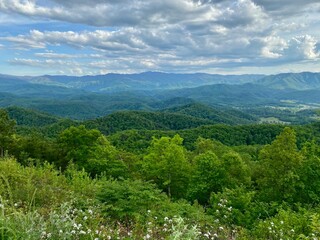 Obraz premium Warm Smoky Spring