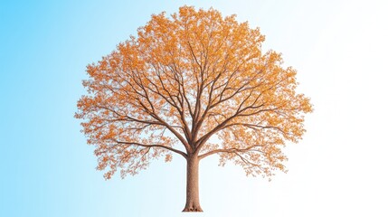 Vibrant autumn tree with golden leaves against a soft gradient background, symbolizing change