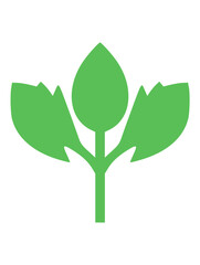 Simple Green Plant Illustration