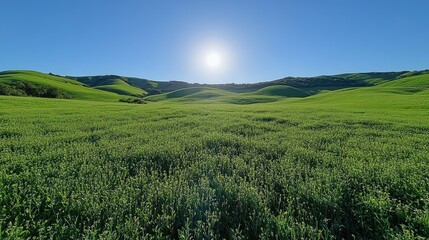 Fototapeta premium Lush green landscape under a bright sun with rolling hills and clear blue sky