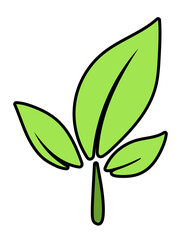 Fresh Green Leaves Sprout